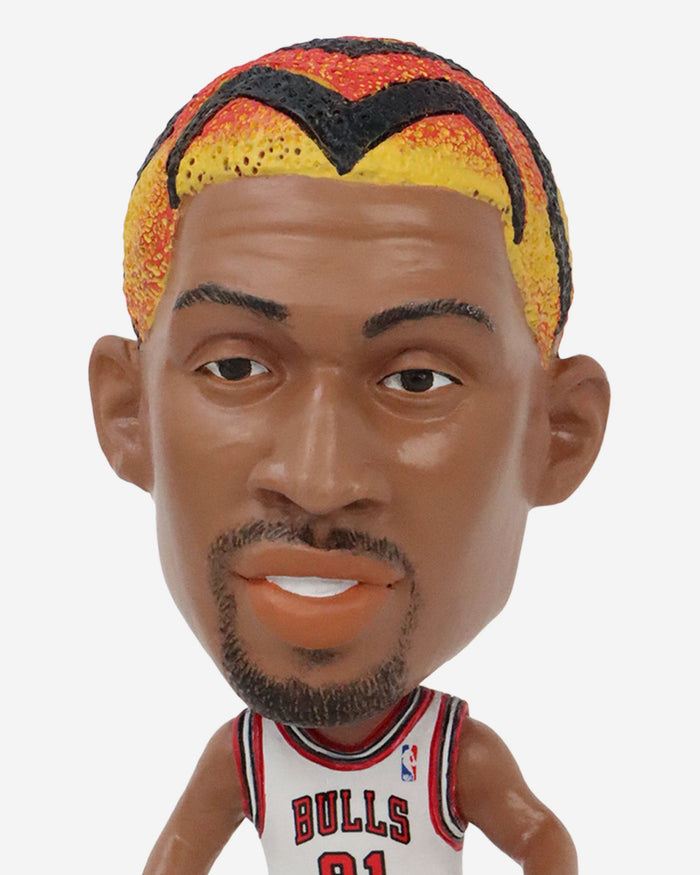 Dennis Rodman Chicago Bulls Court Stripe Mini Bighead Bobblehead FOCO - FOCO.com