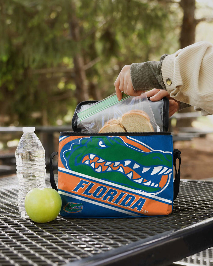 Florida Gators Big Logo Stripe 6 Pack Cooler FOCO - FOCO.com