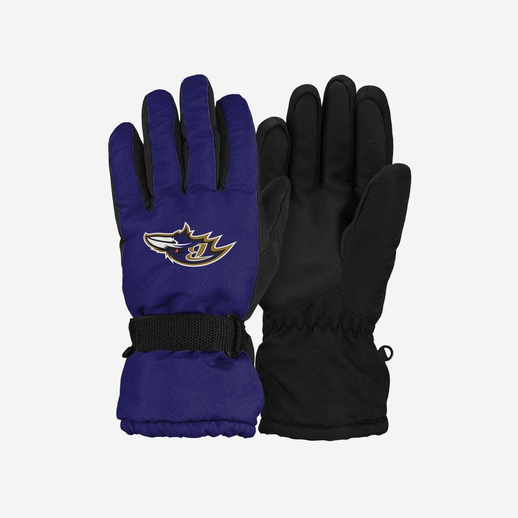 Baltimore Ravens Big Logo Insulated Gloves FOCO S/M - FOCO.com