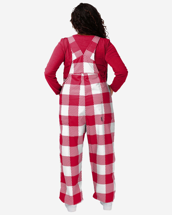 Wisconsin Badgers Womens Plaid Bib Overalls FOCO - FOCO.com