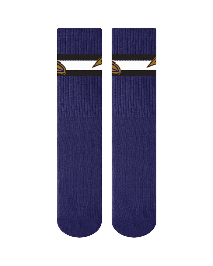 Baltimore Ravens Team Color Socks