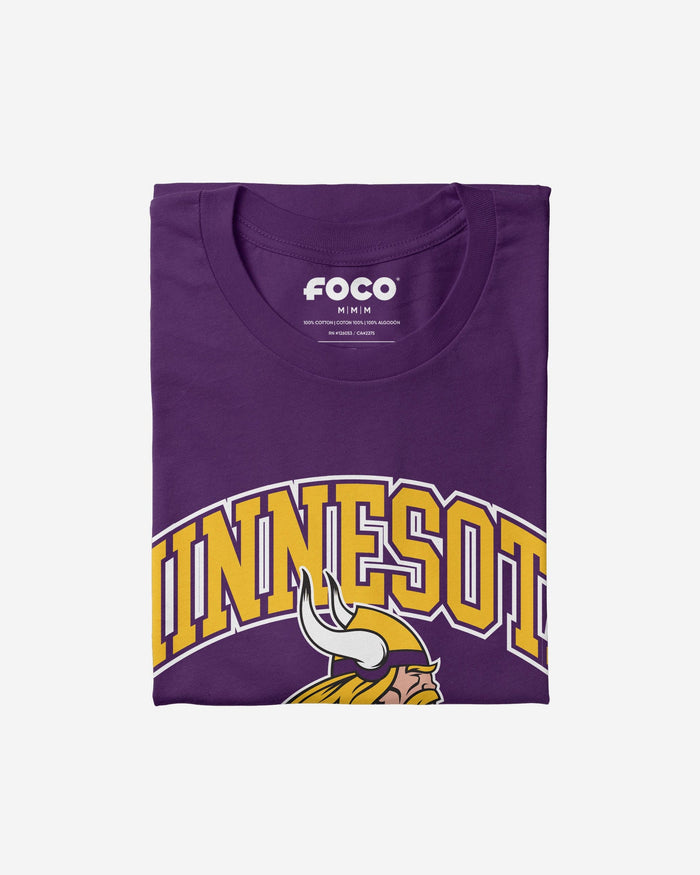 Minnesota Vikings Arched Wordmark T-Shirt FOCO - FOCO.com