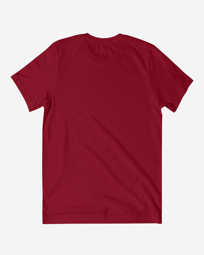 Arizona Cardinals Established Banner T-Shirt FOCO - FOCO.com