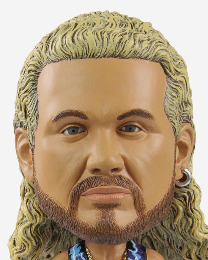 Diamond Dallas Page WWE Bighead Bobblehead FOCO - FOCO.com