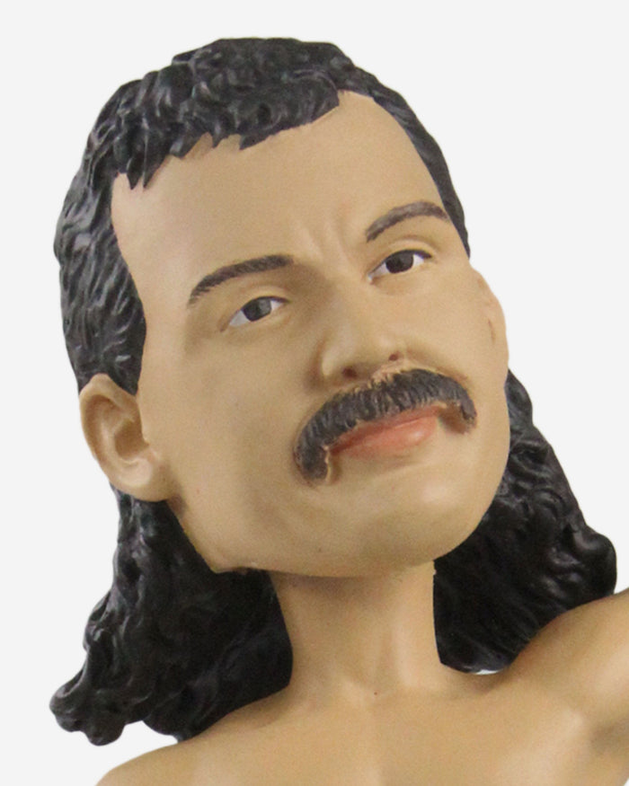 Jake The Snake Roberts WWE Bobblehead FOCO - FOCO.com