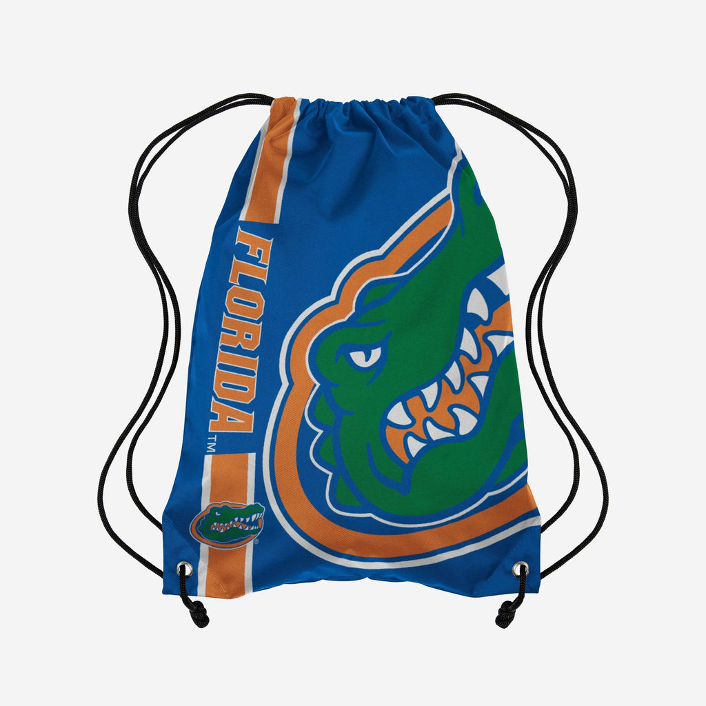 Florida Gators Big Logo Drawstring Backpack FOCO - FOCO.com