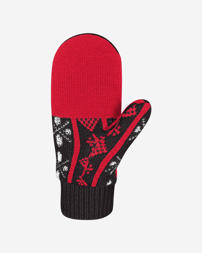 Toronto Raptors Mittens FOCO - FOCO.com