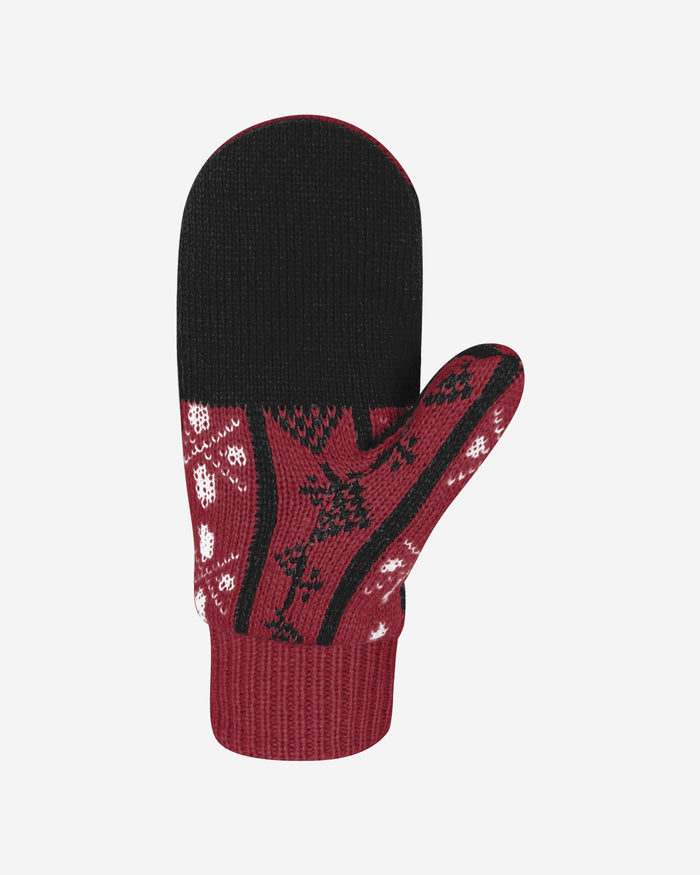 South Carolina Gamecocks Mittens FOCO - FOCO.com