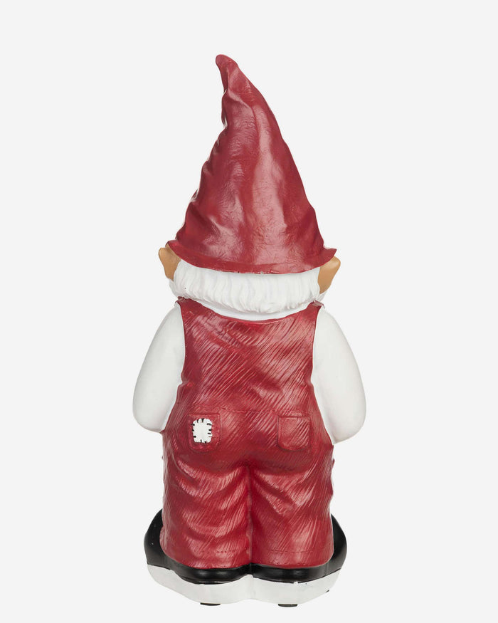 Arkansas Razorbacks Team Gnome FOCO - FOCO.com