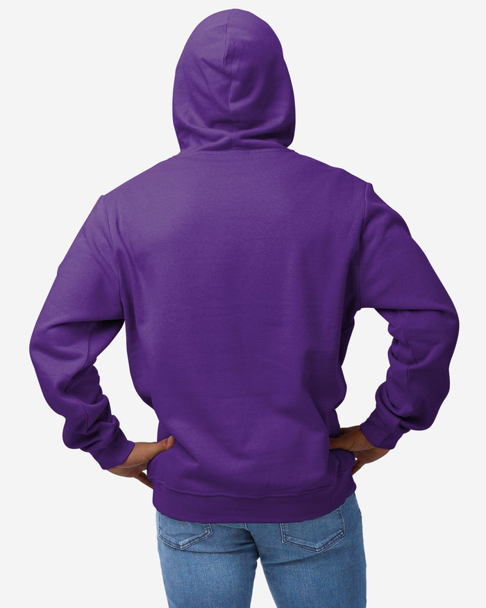 Minnesota Vikings Solid Hoodie FOCO - FOCO.com