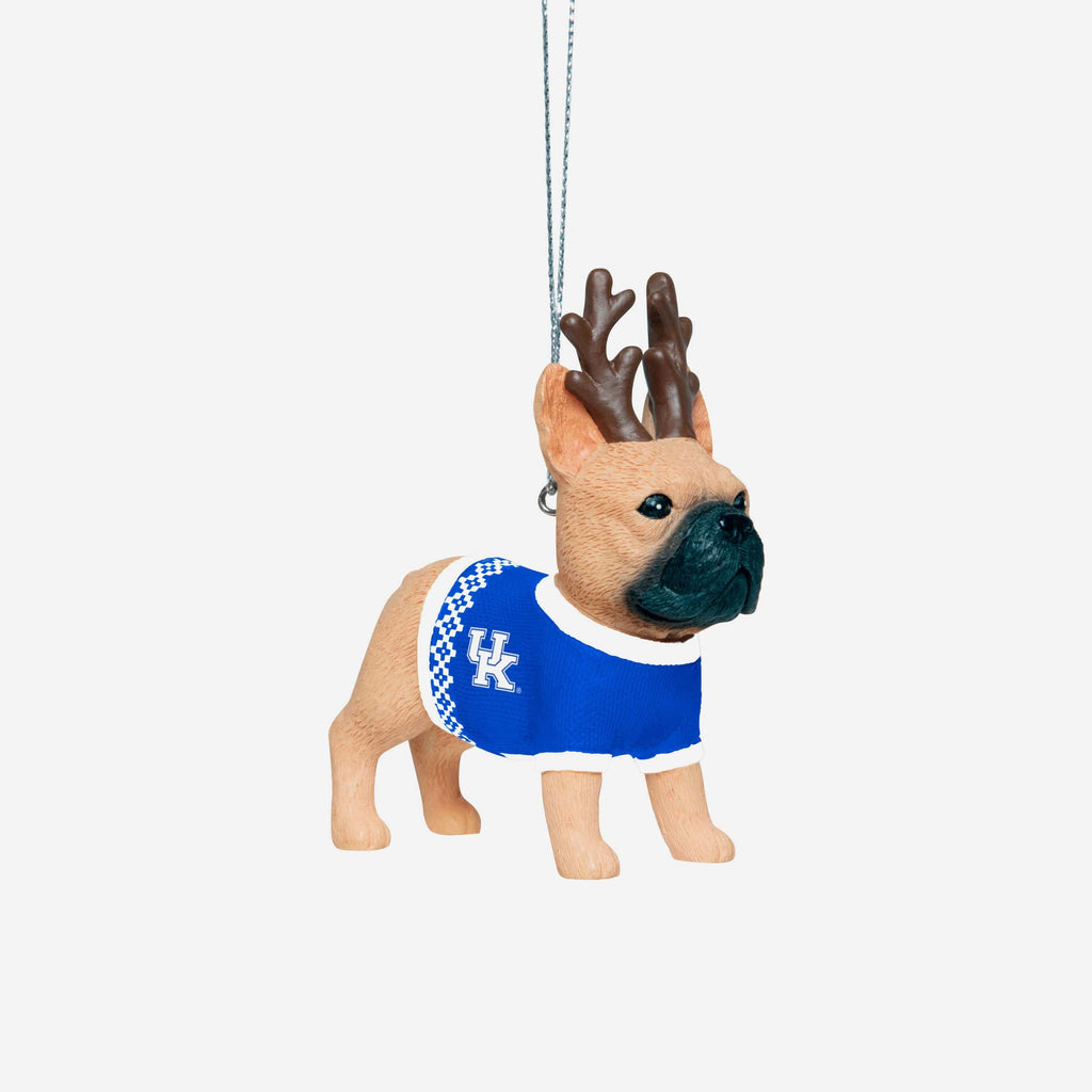 Kentucky Wildcats French Bulldog Wearing Sweater Ornament FOCO - FOCO.com