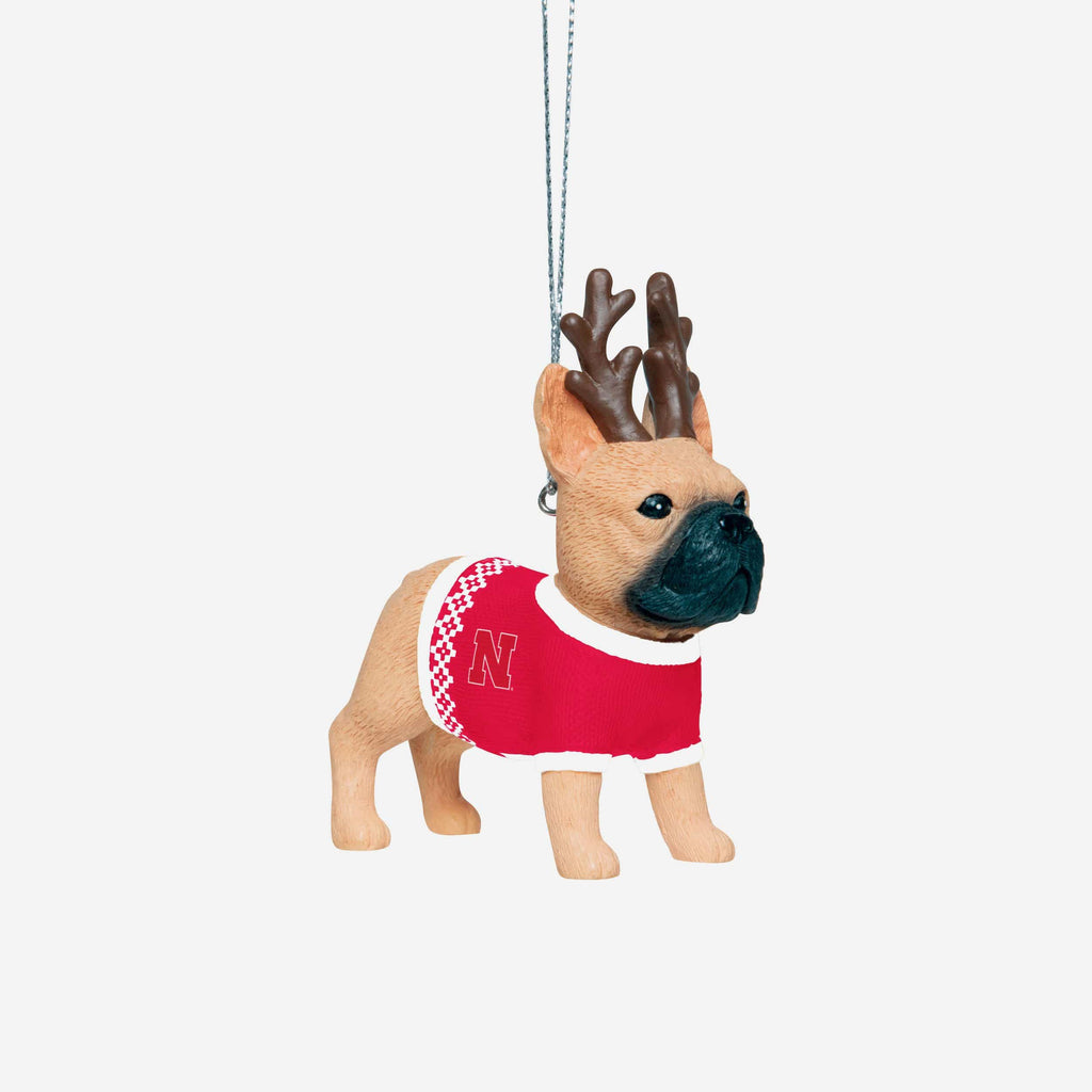 Nebraska Cornhuskers French Bulldog Wearing Sweater Ornament FOCO - FOCO.com