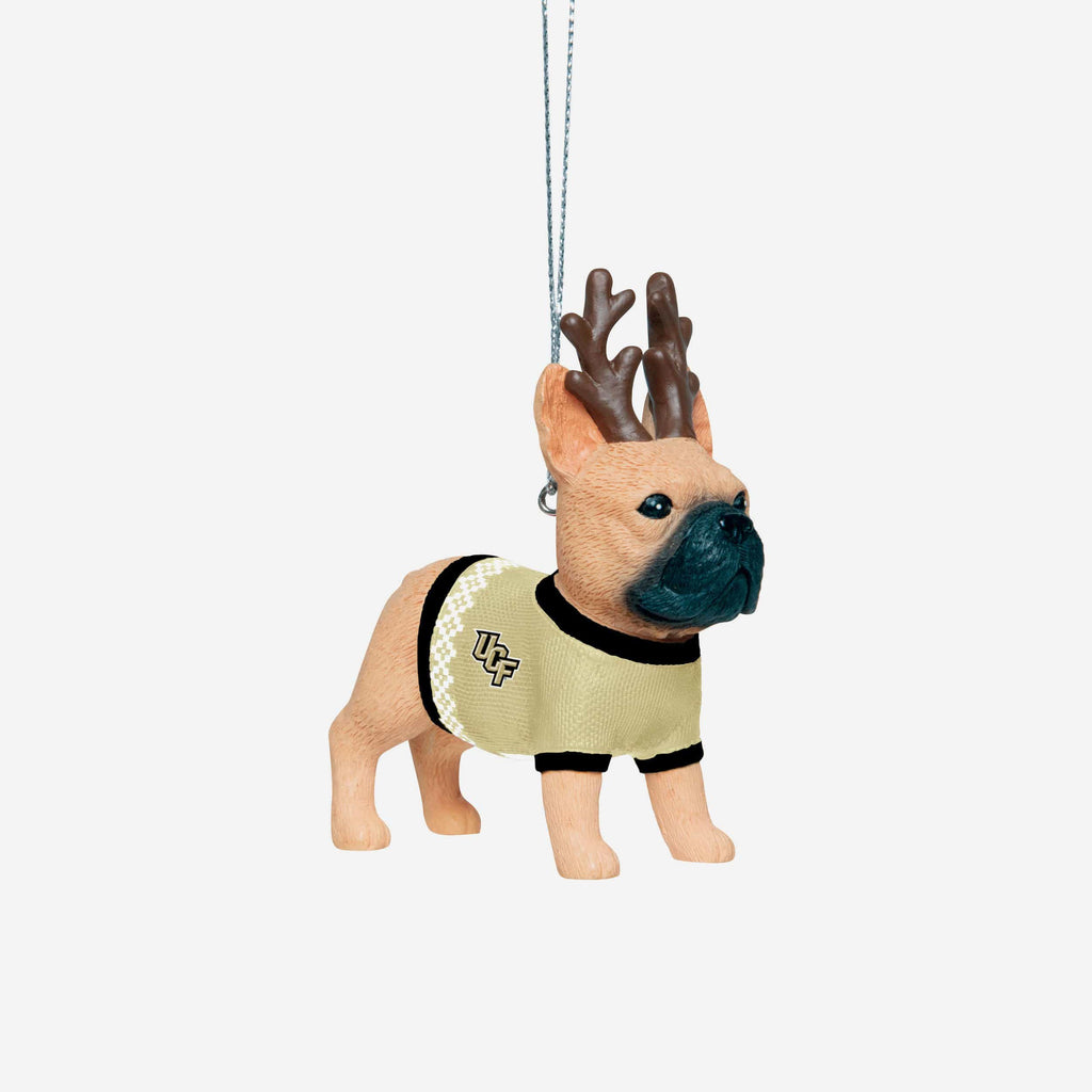 UCF Knights French Bulldog Wearing Sweater Ornament FOCO - FOCO.com