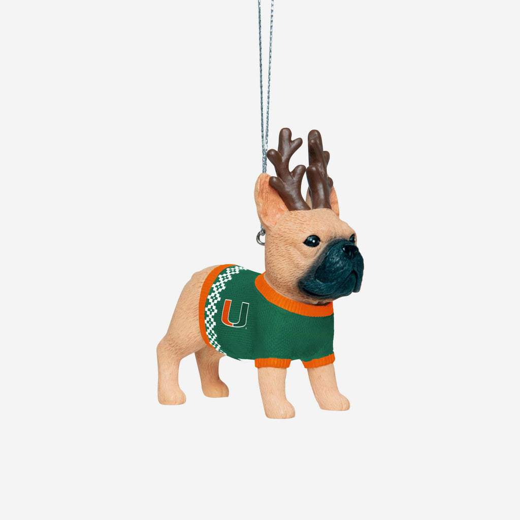 Miami Hurricanes French Bulldog Wearing Sweater Ornament FOCO - FOCO.com