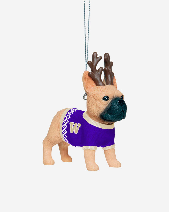 Washington Huskies French Bulldog Wearing Sweater Ornament FOCO - FOCO.com