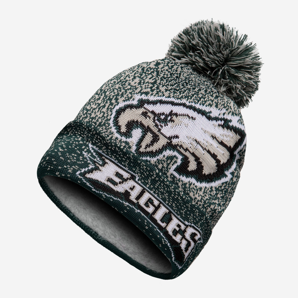 Philadelphia Eagles Matrix Beanie FOCO - FOCO.com