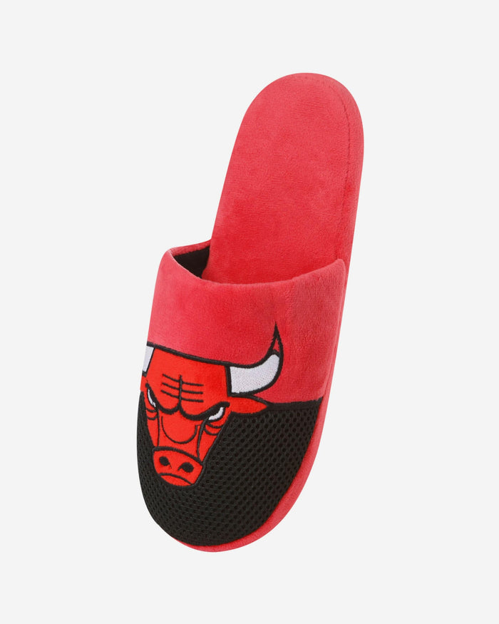 Chicago Bulls Team Logo Staycation Slipper FOCO - FOCO.com