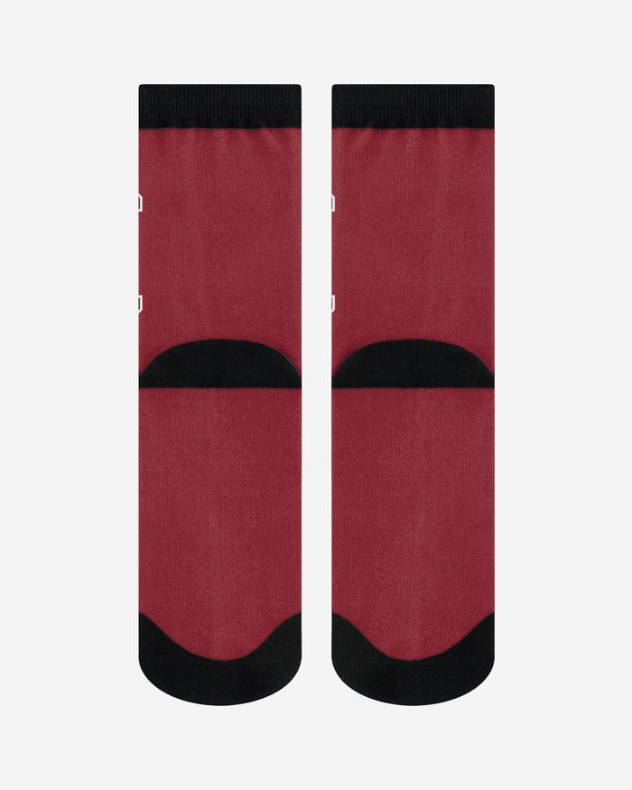 South Carolina Gamecocks Primetime Socks FOCO - FOCO.com