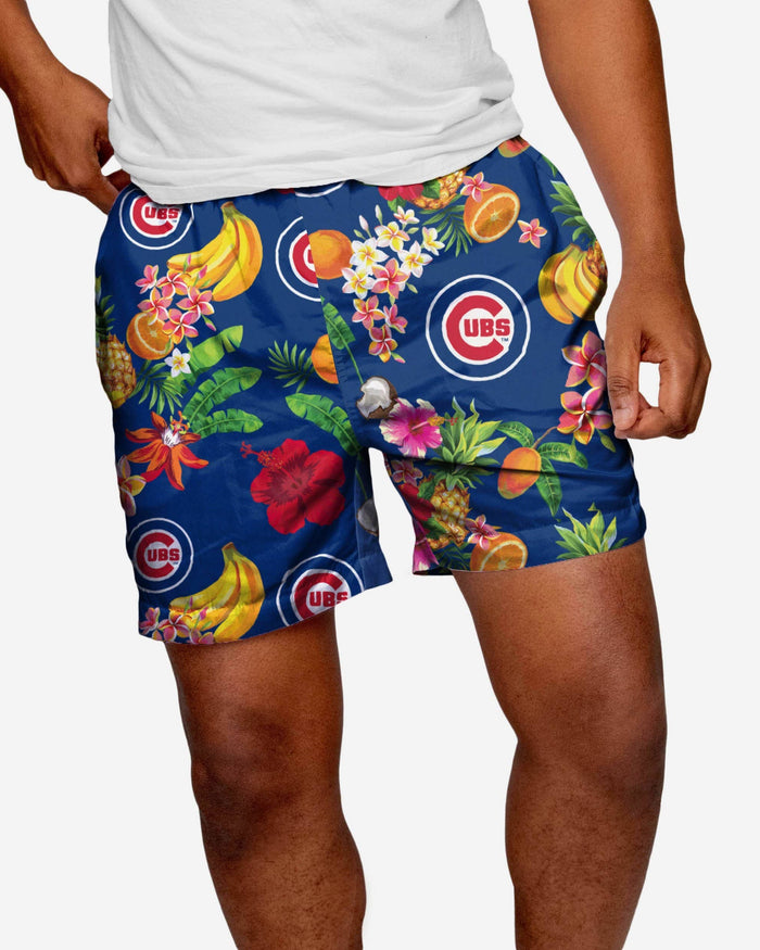 Chicago Cubs Fruit Life 5.5