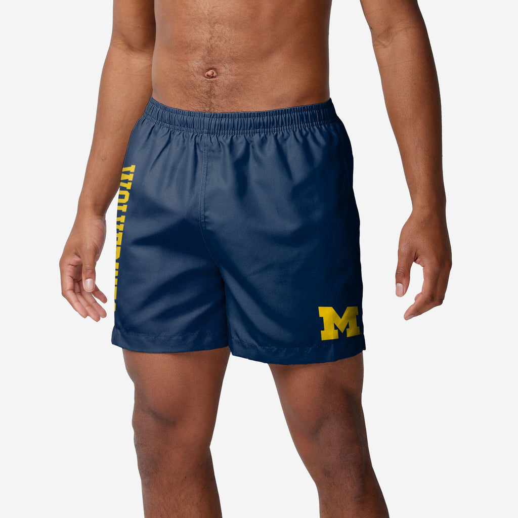 Michigan Wolverines Solid Wordmark 5.5