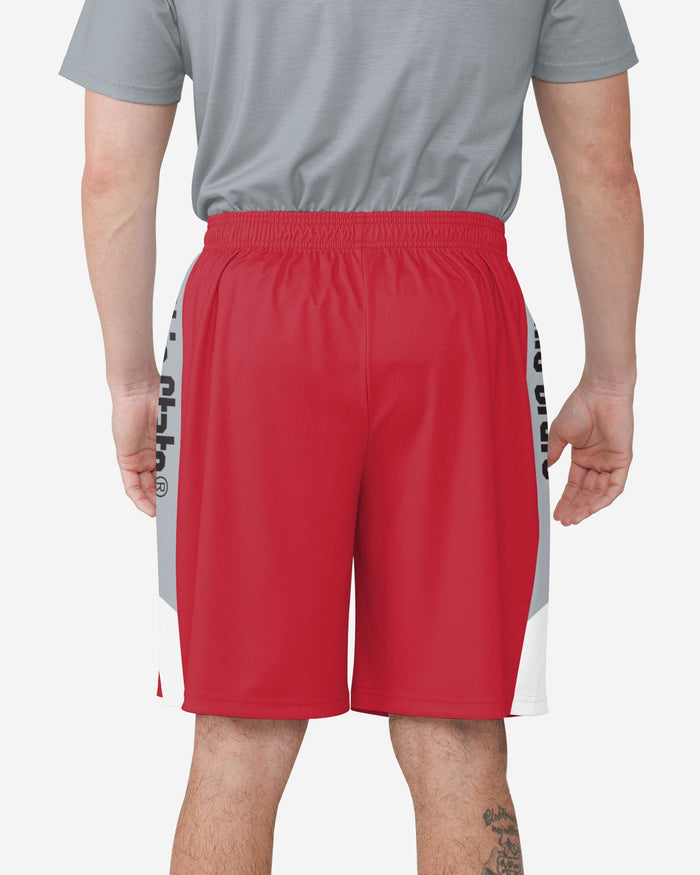 Ohio State Buckeyes Side Stripe Training Shorts FOCO - FOCO.com