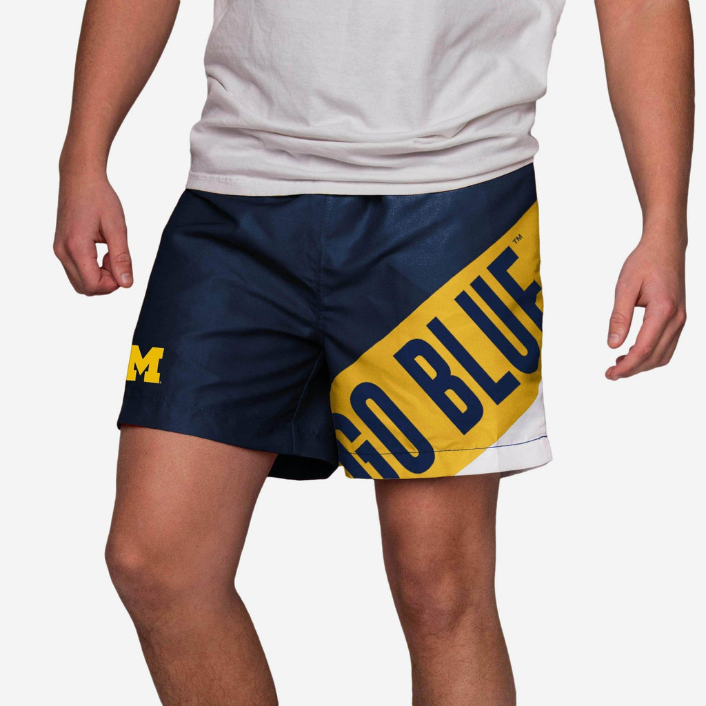 Michigan Wolverines Big Logo 5.5