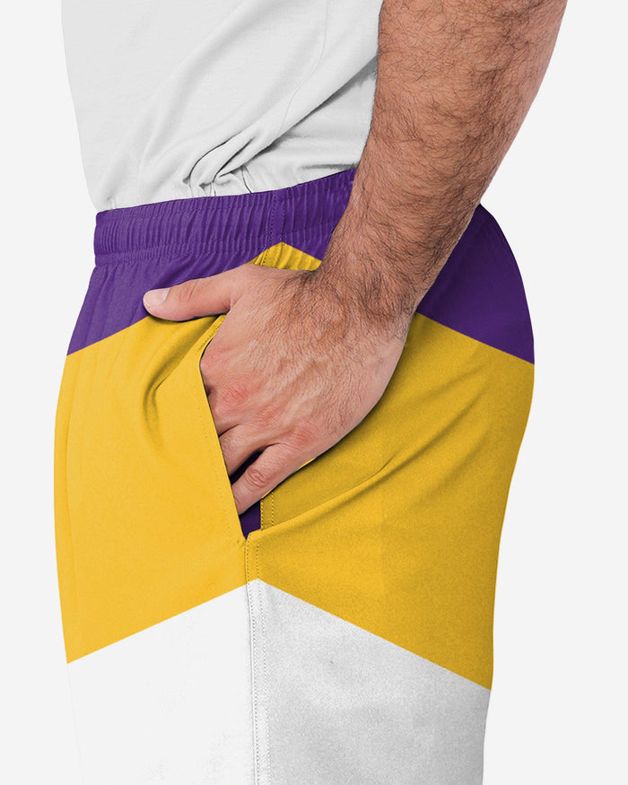 Minnesota Vikings Colorblock Double Down Liner Training Shorts FOCO - FOCO.com