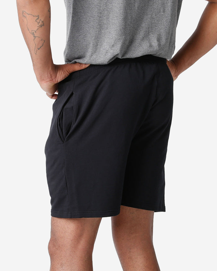 Baltimore Ravens Team Color Woven Shorts FOCO - FOCO.com