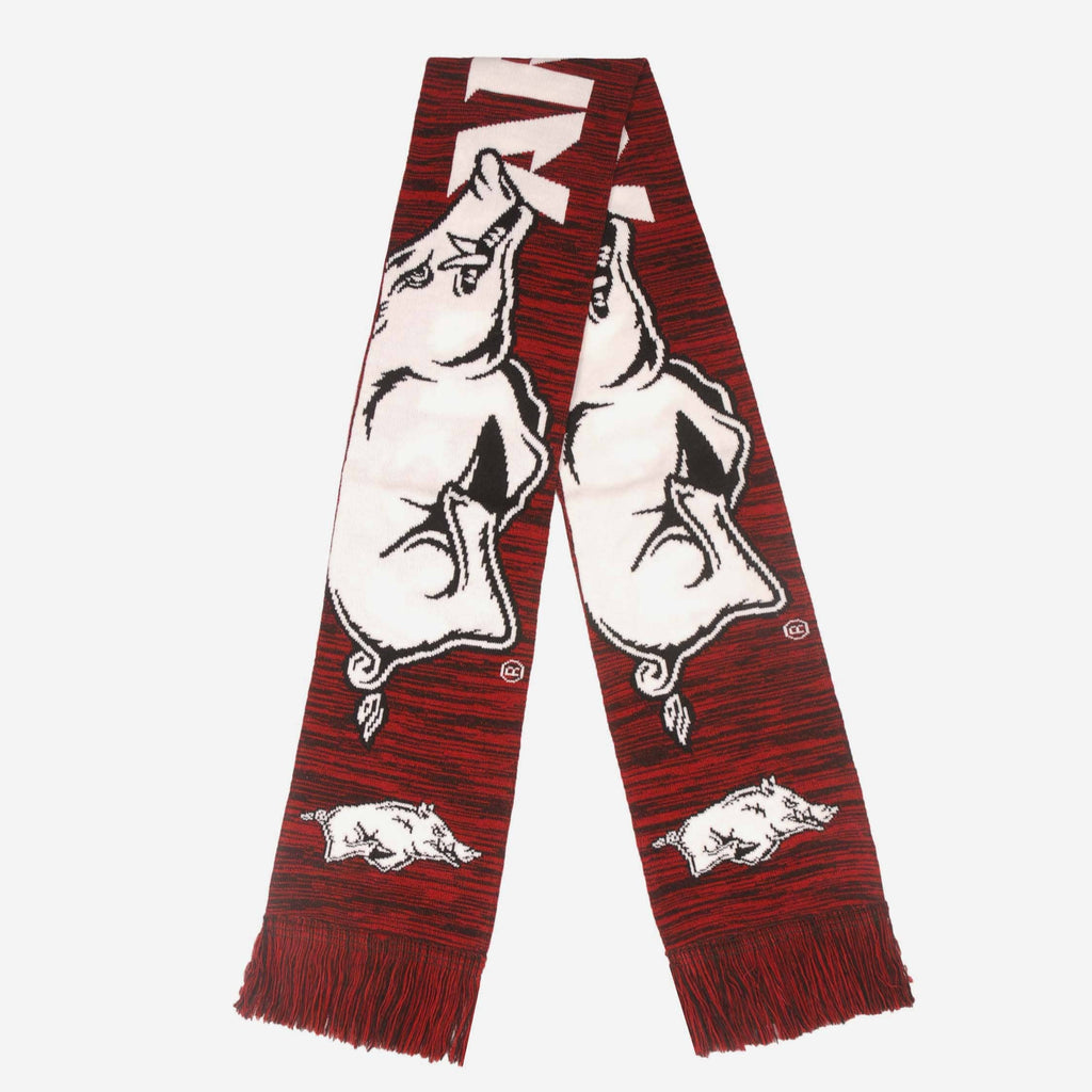 Arkansas Razorbacks Wordmark Big Logo Colorblend Scarf FOCO - FOCO.com