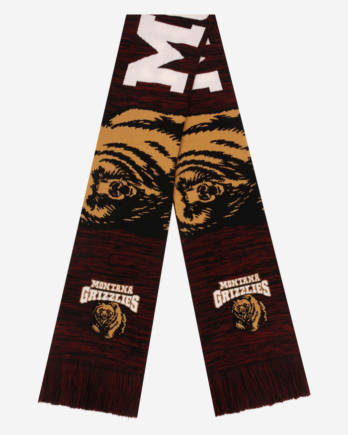 Montana Grizzlies Wordmark Big Logo Colorblend Scarf FOCO - FOCO.com